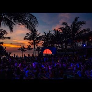 Meet your Posher, Tylee